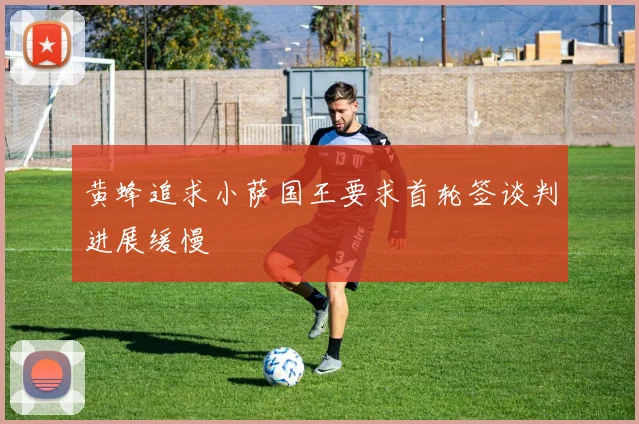 黄蜂追求小萨国王要求首轮签谈判进展缓慢